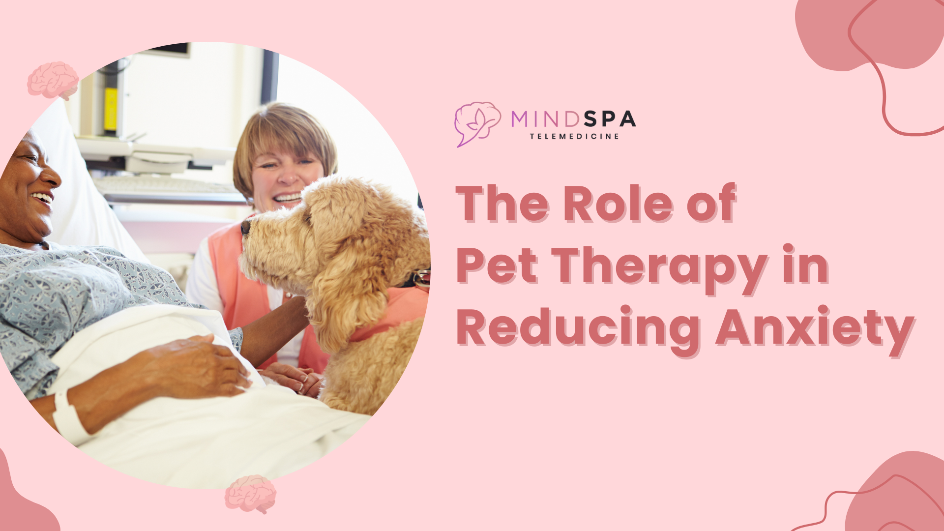 The Role of Pet Therapy in Reducing Anxiety